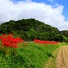 刈り入れが終わって