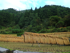 秋の里山1