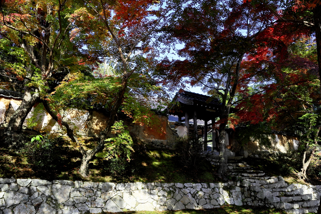 秋の山門Ⅱ