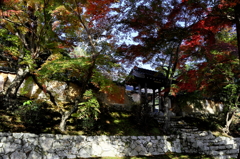 秋の山門Ⅱ