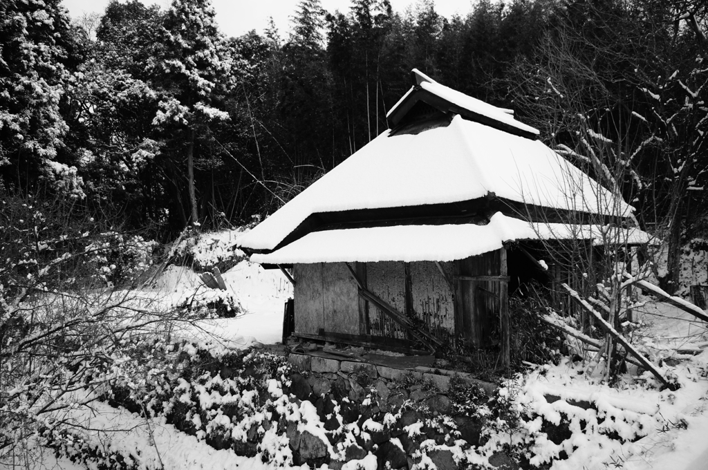 廃家