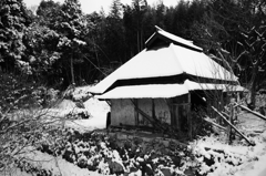 廃家