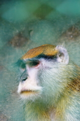 思考中