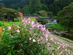 秋の里山2