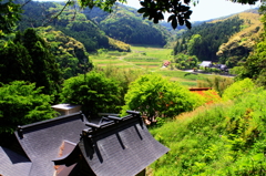 新緑の里