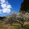 早春の里