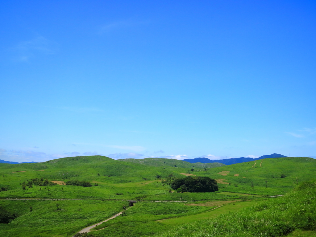 真夏のカルスト台地