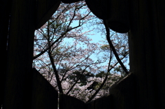 向こうに