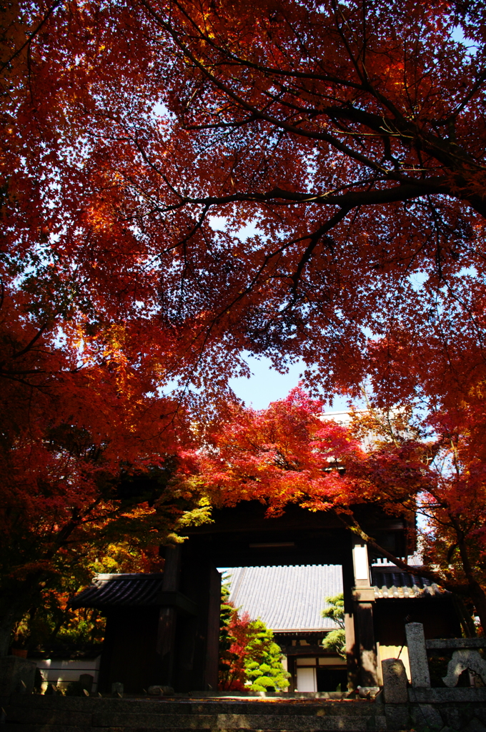 秋の山門