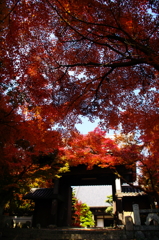 秋の山門