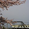 春を乗せて