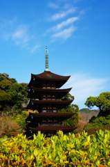 山口瑠璃光寺五重塔