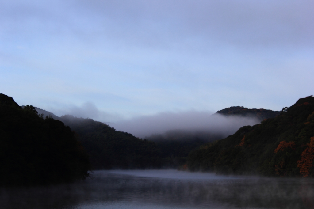 冷たい朝の湖