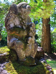 日吉神社の子供を抱いた母親猿