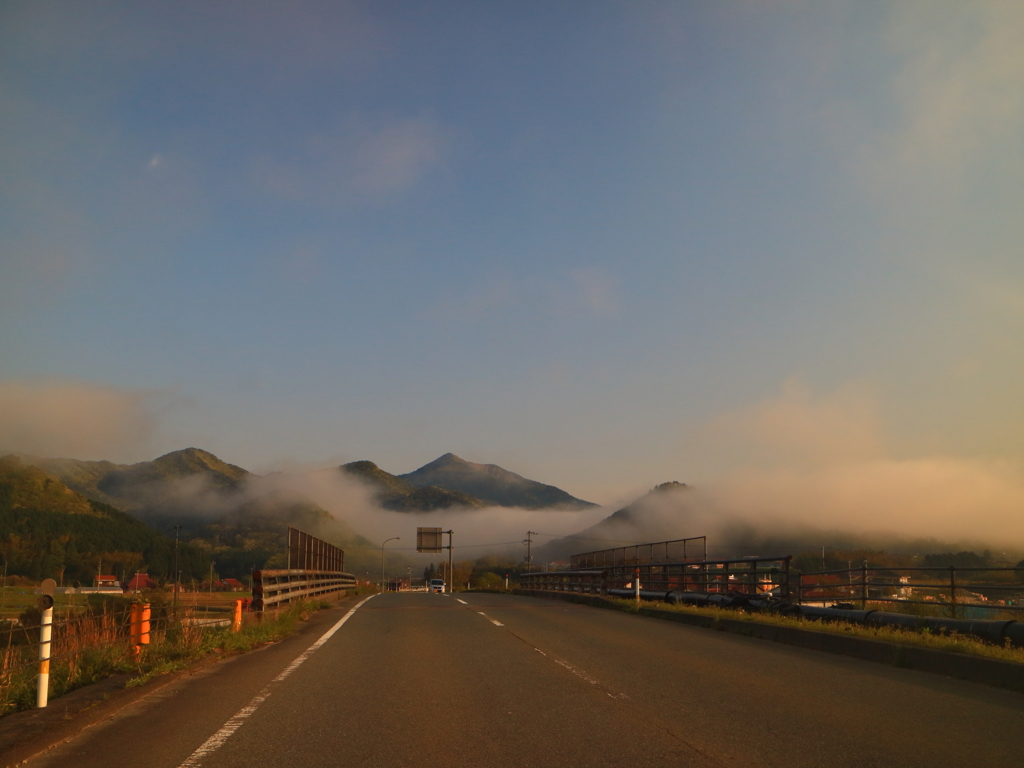 朝霧