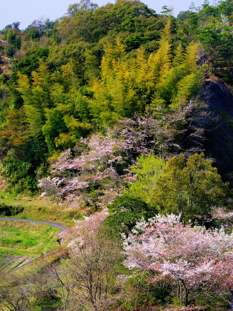 里の春