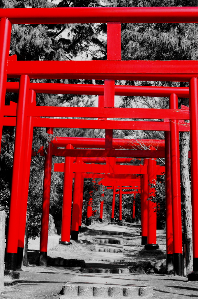 赤い鳥居