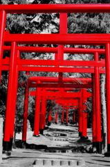 赤い鳥居
