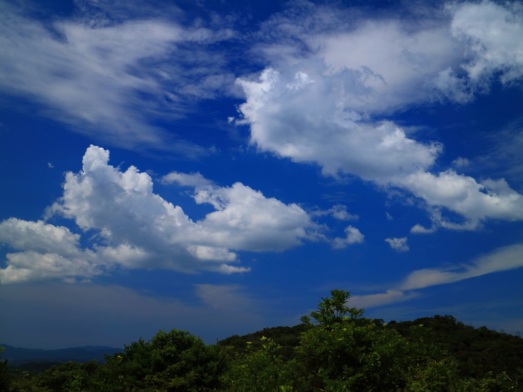 夏の空