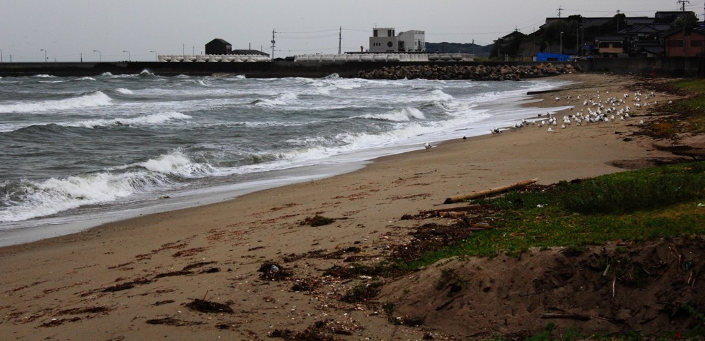 沖に出られないよ～