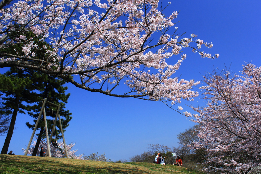 春の陽気に包まれて