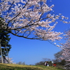 春の陽気に包まれて