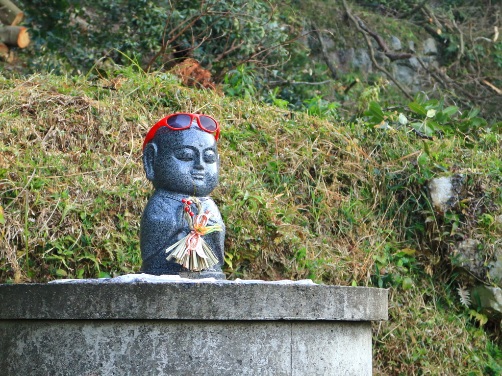 お洒落だね…