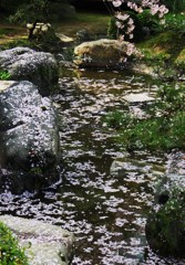 花化粧