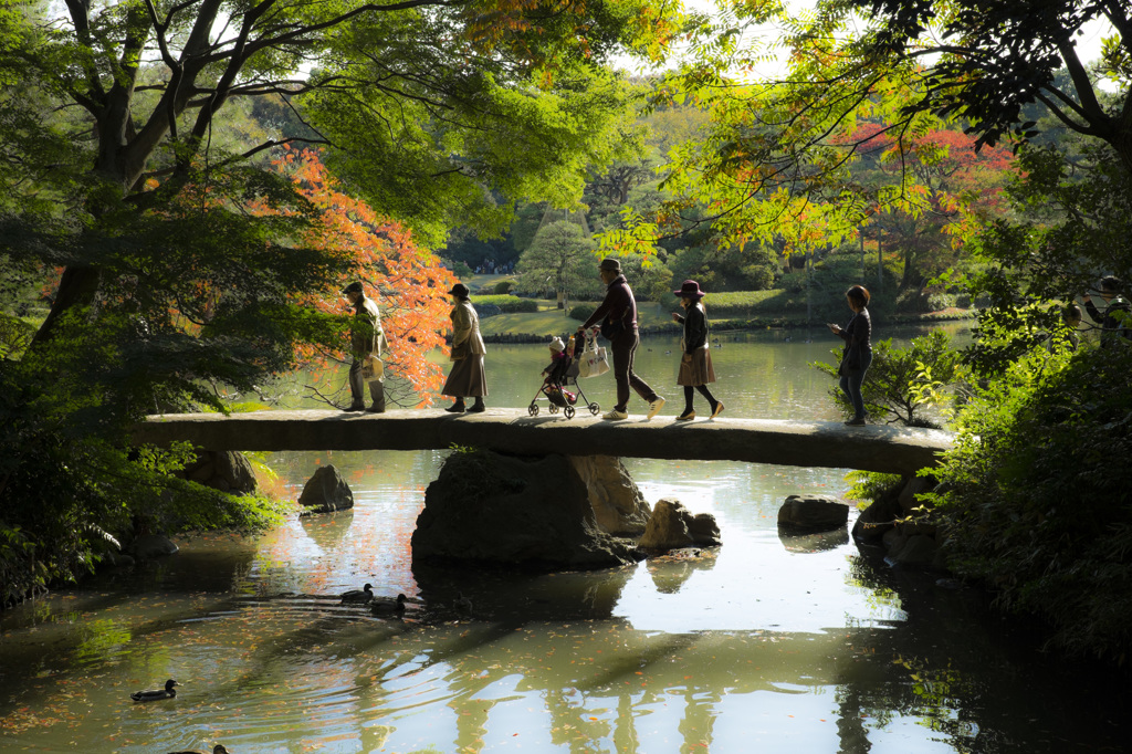 架け橋