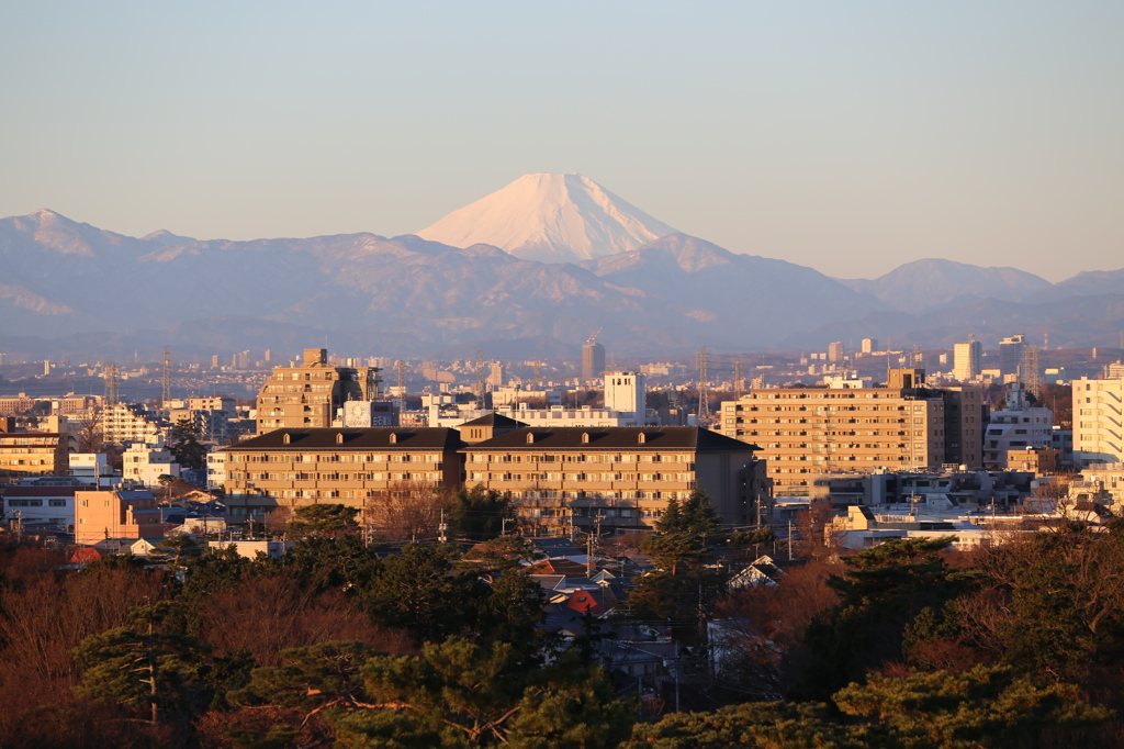 朝日を浴びて、富士