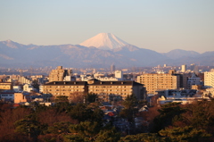 朝日を浴びて、富士