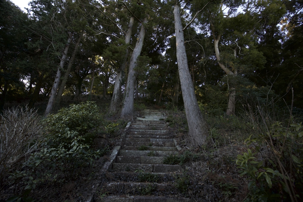 社への階段
