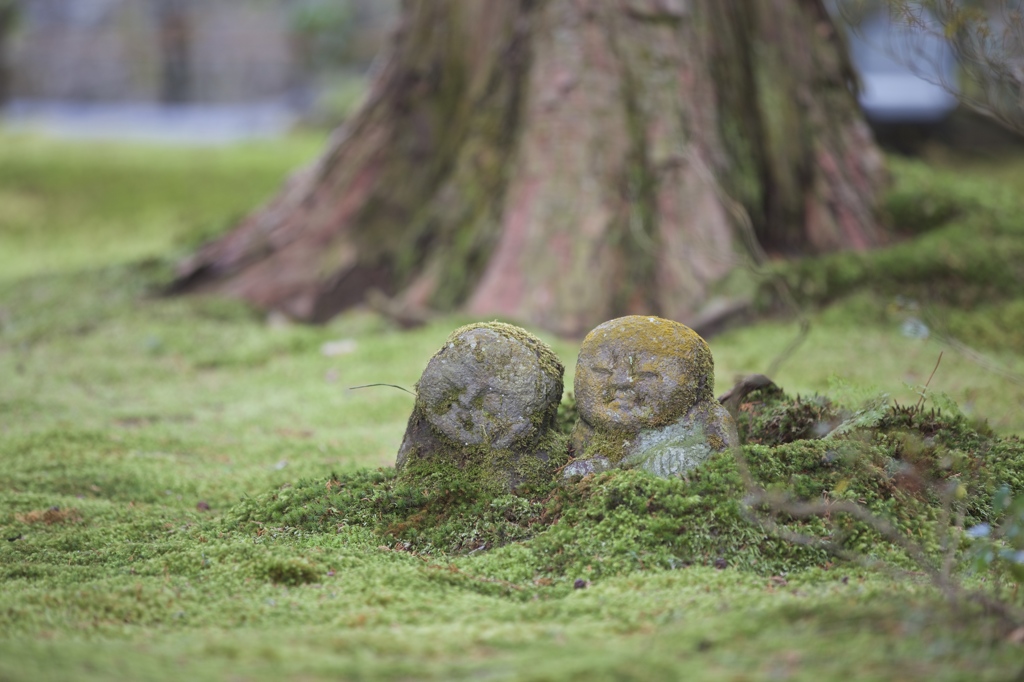 休日の昼下がり