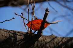 P1140135