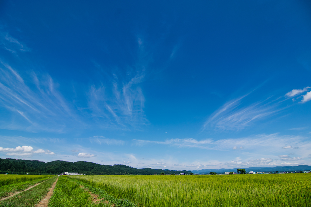 北秋の夏空 -残暑