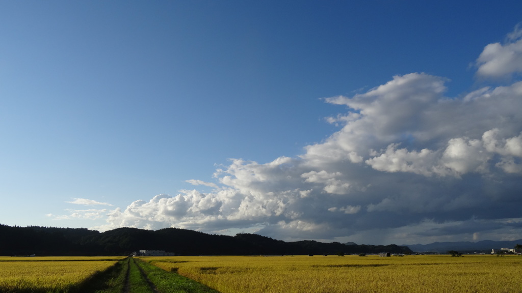 夏去る入道雲