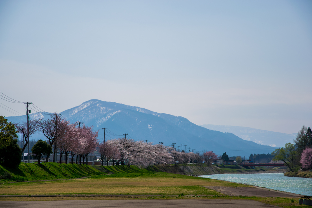 河川敷