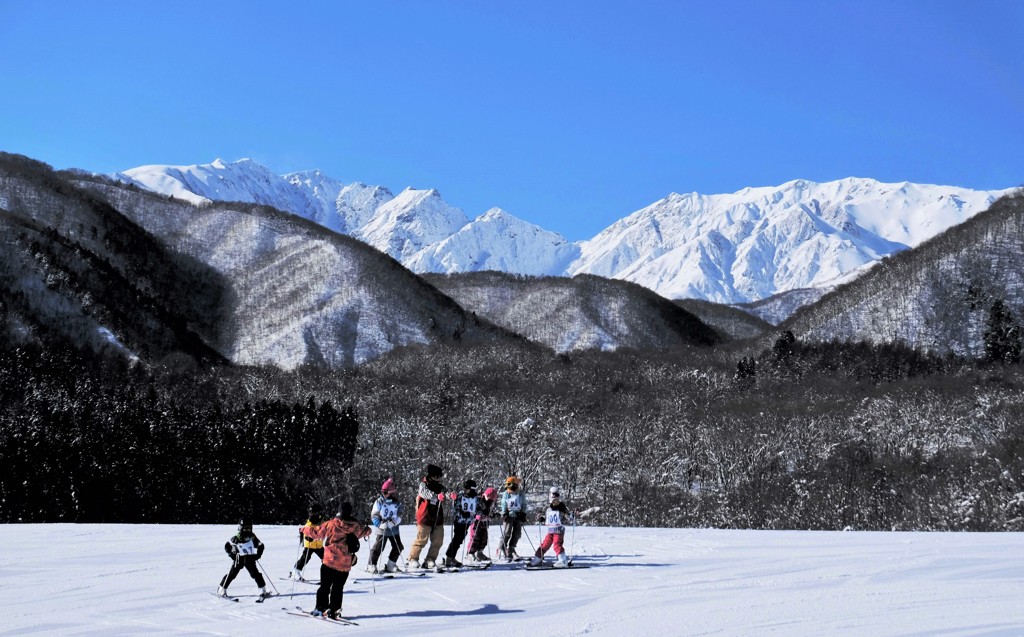 Snow Halation