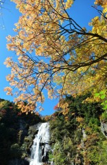 彩の滝
