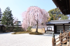 お前さまと一緒。