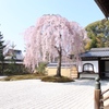 お前さまと一緒。