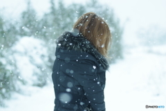 雪中