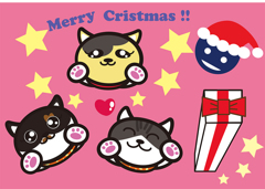 くりすますぬこのこ２０１５