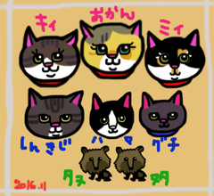 ぬこのこおーるすたーず2016秋