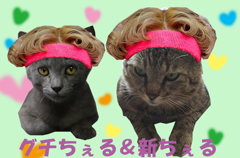 ぐちちぇる＆しんちぇる