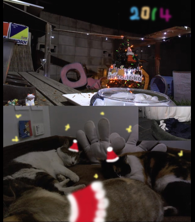 ぬこのこガールズメリークリスマス♪