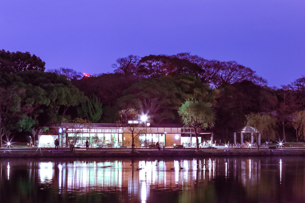 大濠公園の夜スタバ