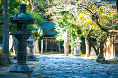 桜井神社参道002