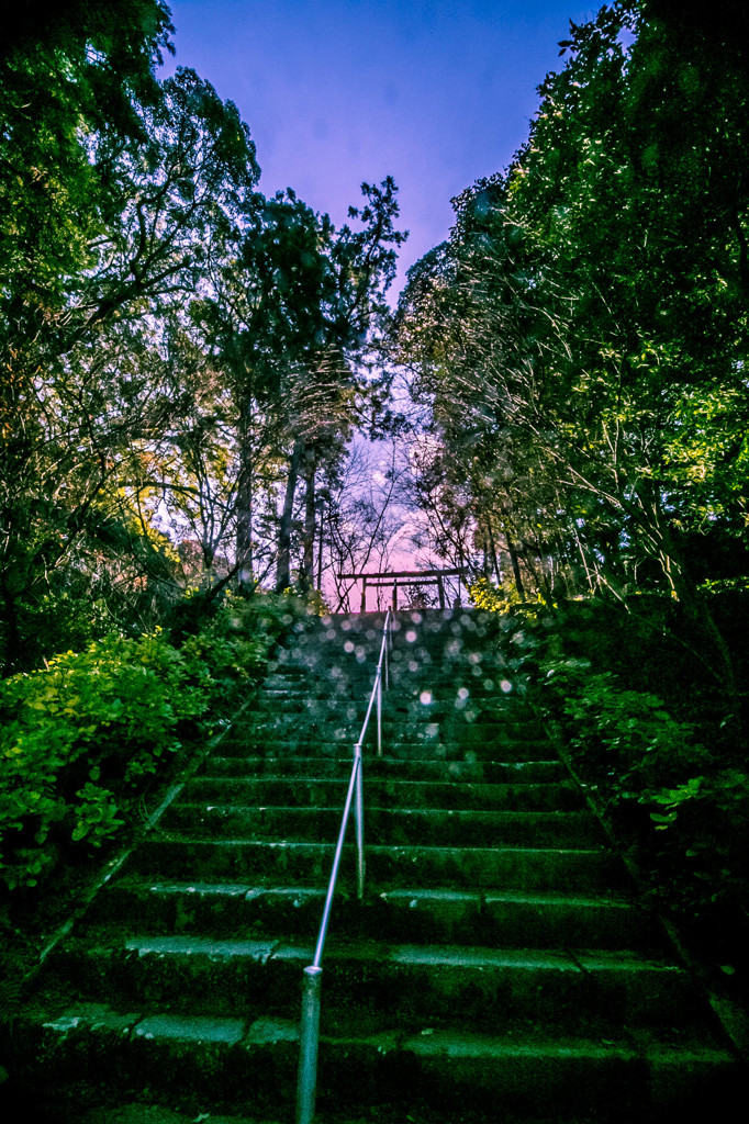 桜井神社　伊勢神宮