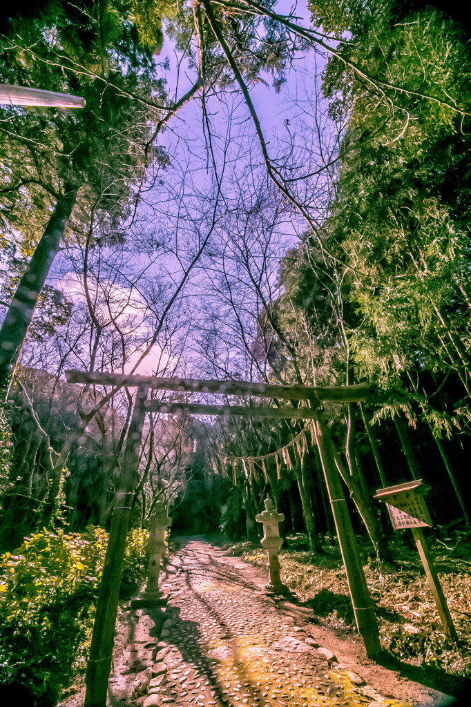 桜井神社　伊勢神宮